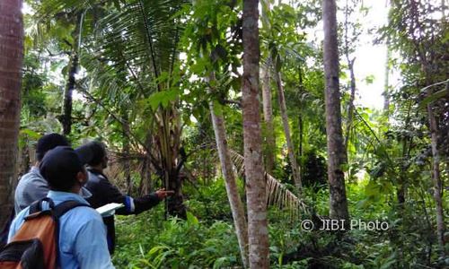 BANDARA KULONPROGO : Pengukuran Ulang Dimulai, Warga Minta Bayar Dulu, Baru Bongkar