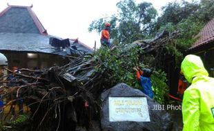 CUACA EKSTREM : Pohon Beringin di Kepatihan yang Ambruk Pagi Ini sudah Dipantau 2 Pekan