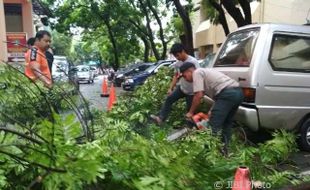 Mobil Pegawai BPPKAD Solo Rusak Tertimpa Dahan Pohon di Balai Kota