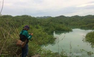 Begini Penampakan Lahan Pertanian di Semanu yang Berubah Jadi Danau