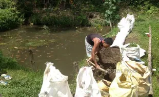 Peternak Ikan Budidaya di Bantul Kini Menelan Pil Pahit