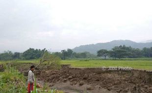 Ratusan Sawah Rusak Kini Terbengkalai