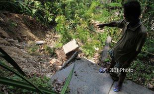 Mau Tanam Pohon untuk Penghijauan Malah Jadi Bencana, Kok Bisa?