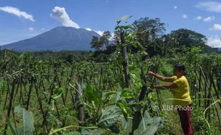 Gunung Agung Bali Meletus 7 Kali dan Keluarkan Asap Kelabu