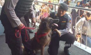 LIBUR AKHIR TAHUN : Seperti Ini Kehebatan 2 Anjing Pelacak yang Amankan Stasiun Tugu