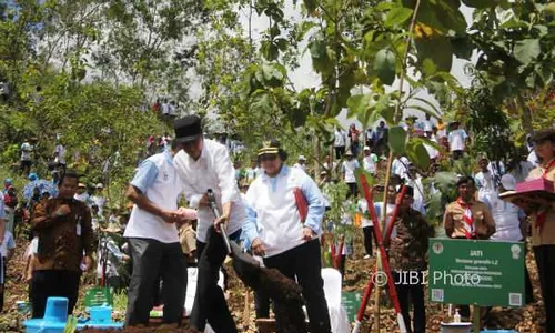 PRESIDEN DI GUNUNGKIDUL : Gunakan Sekop, Jokowi Tanam Bibit Jati