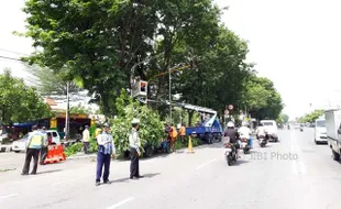 Pohon di Karanganyar Dipangkas Agar Tak Tutupi Lampu dan Rambu