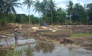 Gagal Panen Akibat Bencana, Petani Gunungkidul Menyesal Tak Punya Asuransi Pertanian