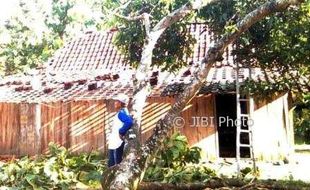 ANGIN KENCANG SRAGEN : 50 Pohon Tumbang dan 12 Bangunan Rusak Ringan di Sukodono