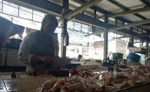 Harga Daging Ayam Masih Rp35.000 per Kg