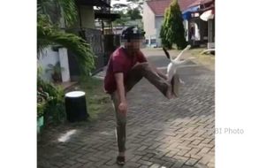 Kucing Ditendangi Jadi Viral, Pelaku Minta Maaf