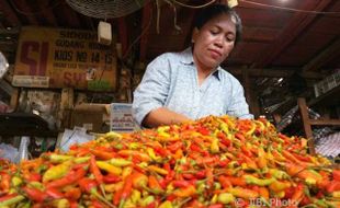 Harga Cabai di Solo Berangsur Turun