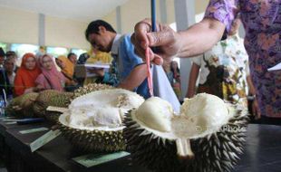 FESTIVAL DURIAN KARANGANYAR : Ikhtiar Mencari Varietas Unggul Durian Khas Bumi Intanpari