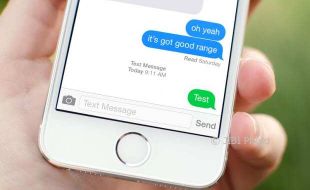 Apple Bakal “Adopsi” Fitur Whatsapp Bussiness