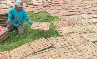 FOTO INFO BELANJA : Kerupuk Jengki Demak Rp1 Juta/Kuintal