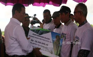 HARGA BERAS : Mentan Pastikan Impor Beras Batal