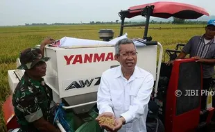 FOTO PERTANIAN JATENG : Petani Grobogan Panen pakai Mesin