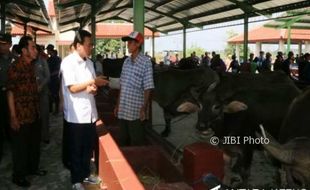 PASAR TRADISIONAL KUDUS : Wow! Limbah Pasar Ternak Kudus Jadi Biogas untuk Warga