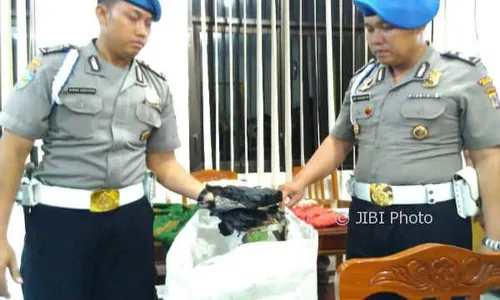 Dikejar Warga, Pelaku Pembakar Alquran Kibaskan Rok