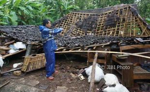 Angin Kencang di Playen, Rumah Ambruk dan Pohon Bertumbangan