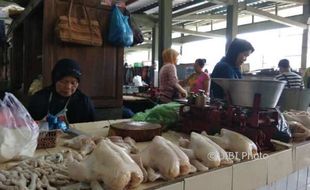 Kabar Baik, Harga Daging Ayam Berangsur Turun