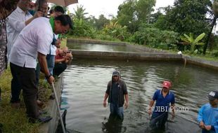 Efisiensi Listrik Teknologi MBG UGM Perlu Dibenahi