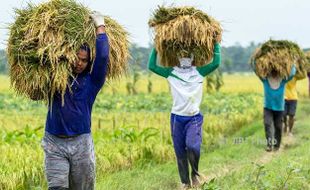 ADB: 22 Juta Orang Indonesia Kelaparan dalam 2 Tahun Era Jokowi