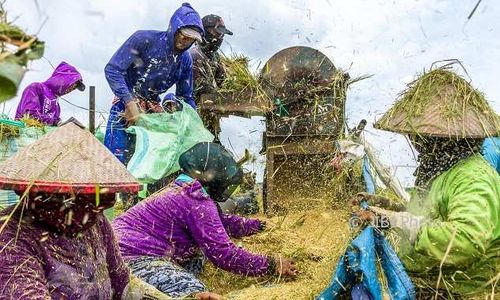 HARGA KEBUTUHAN POKOK : Operasi Pasar Bulog Dinilai LP2K Tak Efektif