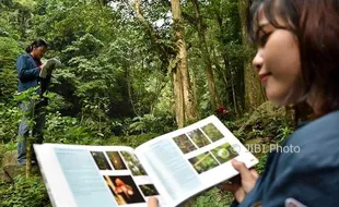 FOTO WISATA SEMARANG : Vegetasi Hutan Gunung Ungaran Didata