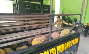 Satpol PP Klaten Sita Puluhan Buah Durian dari PKL