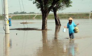 Banjir Bikin 3 Dukuh di Karangtengah Sragen Ini Tak Ubahnya Waduk Buatan