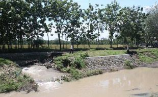 BANJIR SRAGEN : Hujan Deras Bikin 2 Tanggul Karangmalang Jebol dan 68 Ha Sawah Terancam Kebanjiran