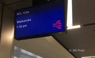 Bandara di AS Tawarkan Penerbangan ke Wakanda