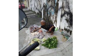 Kakek-Kakek Jualan Sayur & Buah di Penumping Solo Tuai Simpati