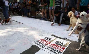 Kampanye di CFD Solo, Pecinta Hewan Ungkap Kekejaman di Balik Menu Daging Anjing