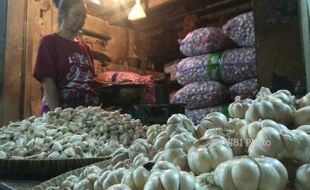 Harga Bawang Putih di Klaten Meroket hingga Rp37.000/Kg