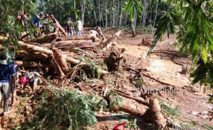 BENCANA JATENG : 2 Anjing Pelacak Dikerahkan, Korban Tewas Longsor Brebes Jadi 8