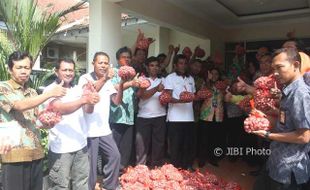 ASN Sragen Ramai-Ramai Beli Bawang Merah Panenan Petani