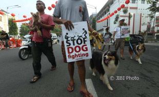 Duh, Setiap Hari 80 Ekor Anjing Dibantai untuk Dikonsumsi di Solo