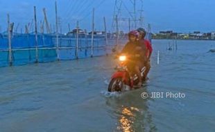 FENOMENA ALAM : Super Blue Blood Moon Bikin Pesisir Jateng Tergenang