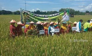 Bupati Madiun Imbau Masyarakat Kurangi Makan Nasi, Kenapa?