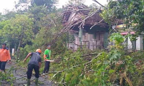 BENCANA KLATEN : Puluhan Rumah Tertimpa Pohon Tumbang akibat Puting Beliung di Tulung