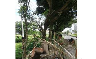 PKL SUKOHARJO : 6 Lapak Karpet hingga Buah di Jalan Solo-Sukoharjo Dibongkar Satpol PP