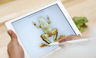 Apple Luncurkan Ipad Murah 9,7 Inchi