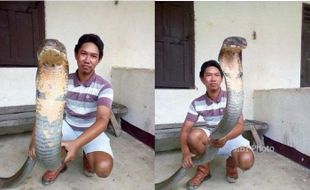 Diteror King Cobra, Pemilik Warung Mi Ayam di Klaten Ngungsi