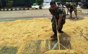 Kodim Demak Tak Patah Semangat Dorong Penyerapan Gabah oleh Bulog