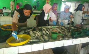 Ikan yang Beredar di Kulonprogo dan Gunungkidul Diperiksa