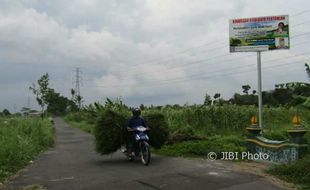 Nilai Tukar Petani DIY Terus Menurun, Pemda Diminta Beri Perlindungan