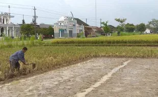 Batal Diserahkan, Alat Bantuan Dirjen Pertanian Hanya Dipinjamkan pada Petani