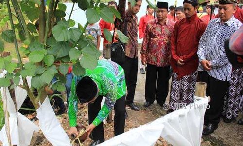 Warga Dlingo Menggelar Tradisi Rasulan untuk Melestarikan Lingkungan